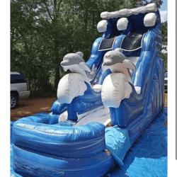 17 FT Sea World Water Slide