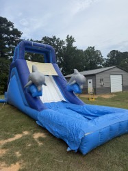 15 FT Dolphin Splash Water Slide DD2502A0 6A0F 4AE6 9B53 A19B911EE3FD 1 105 c 1756834565 15 FT Dolphin Splash Water Slide